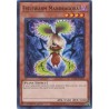 Egyptian God Deck: Obelisk - Evilswarm Mandragora