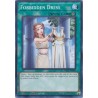 Egyptian God Deck: Obelisk - Forbidden Dress