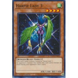 Hidden Arsenal: Chapter 1 - Harpie Lady 3