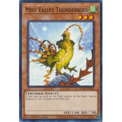 Hidden Arsenal: Chapter 1 - Mist Valley Thunderbird