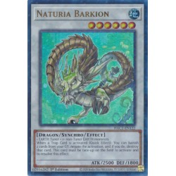 Hidden Arsenal: Chapter 1 - Naturia Barkion