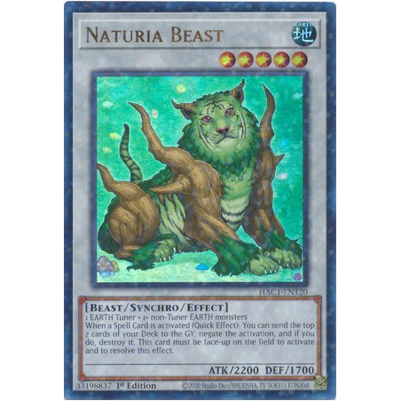 Hidden Arsenal: Chapter 1 - Naturia Beast