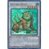 Hidden Arsenal: Chapter 1 - Naturia Beast