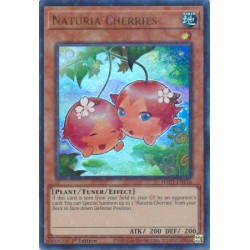 Hidden Arsenal: Chapter 1 - Naturia Cherries