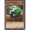 Hidden Arsenal: Chapter 1 - Naturia Beetle