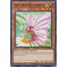 Hidden Arsenal: Chapter 1 - Naturia Butterfly