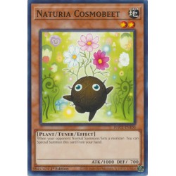 Hidden Arsenal: Chapter 1 - Naturia Cosmobeet