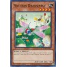 Hidden Arsenal: Chapter 1 - Naturia Dragonfly