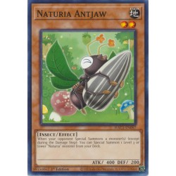 Hidden Arsenal: Chapter 1 - Naturia Antjaw