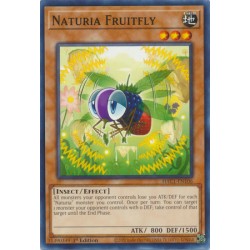 Hidden Arsenal: Chapter 1 - Naturia Fruitfly