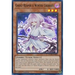 Duel Devastator - Ghost Reaper & Winter Cherries