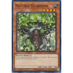 Hidden Arsenal: Chapter 1 - Naturia Guardian