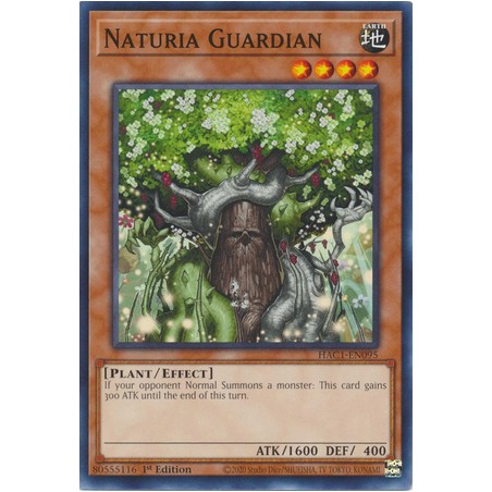 Hidden Arsenal: Chapter 1 - Naturia Guardian