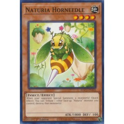 Hidden Arsenal: Chapter 1 - Naturia Horneedle