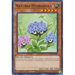 Hidden Arsenal: Chapter 1 - Naturia Hydrangea