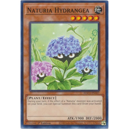 Hidden Arsenal: Chapter 1 - Naturia Hydrangea