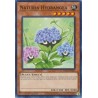 Hidden Arsenal: Chapter 1 - Naturia Hydrangea