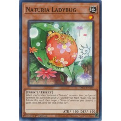 Hidden Arsenal: Chapter 1 - Naturia Ladybug