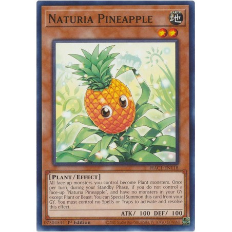 Hidden Arsenal: Chapter 1 - Naturia Pineapple