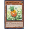 Hidden Arsenal: Chapter 1 - Naturia Pineapple