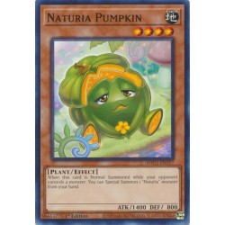 Hidden Arsenal: Chapter 1 - Naturia Pumpkin