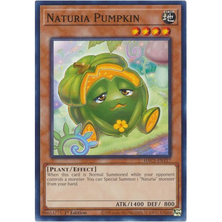 Hidden Arsenal: Chapter 1 - Naturia Pumpkin