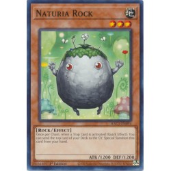 Hidden Arsenal: Chapter 1 - Naturia Rock