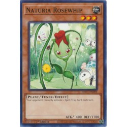 Hidden Arsenal: Chapter 1 - Naturia Rosewhip