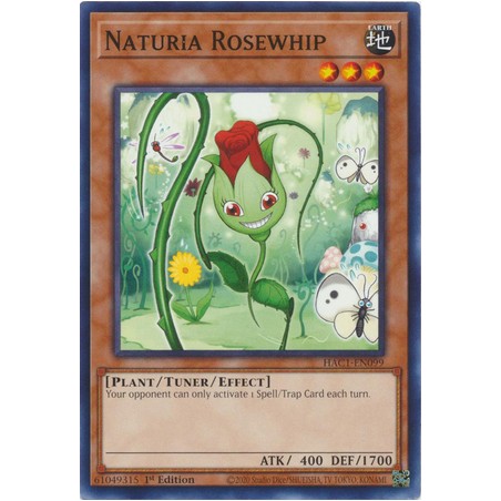 Hidden Arsenal: Chapter 1 - Naturia Rosewhip