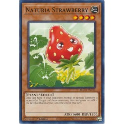 Hidden Arsenal: Chapter 1 - Naturia Strawberry