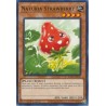 Hidden Arsenal: Chapter 1 - Naturia Strawberry