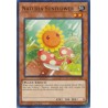 Hidden Arsenal: Chapter 1 - Naturia Sunflower