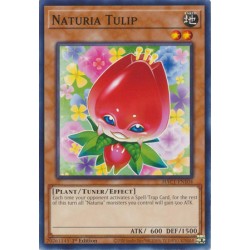 Hidden Arsenal: Chapter 1 - Naturia Tulip