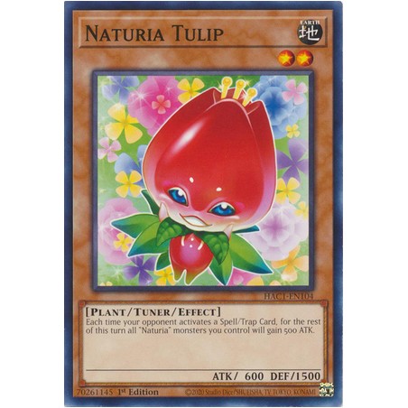 Hidden Arsenal: Chapter 1 - Naturia Tulip