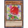 Hidden Arsenal: Chapter 1 - Naturia Tulip