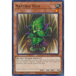 Hidden Arsenal: Chapter 1 - Naturia Vein