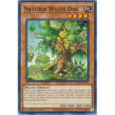 Hidden Arsenal: Chapter 1 - Naturia White Oak