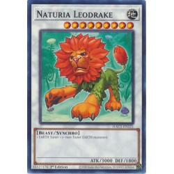 Hidden Arsenal: Chapter 1 - Naturia Leodrake