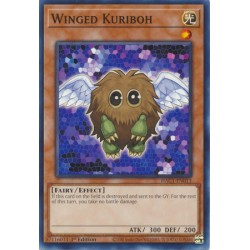 Hidden Arsenal: Chapter 1 - Winged Kuriboh