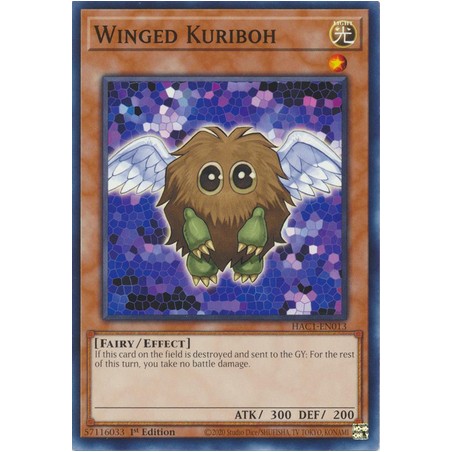 Hidden Arsenal: Chapter 1 - Winged Kuriboh