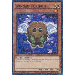 Hidden Arsenal: Chapter 1 - Winged Kuriboh