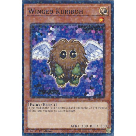 Hidden Arsenal: Chapter 1 - Winged Kuriboh