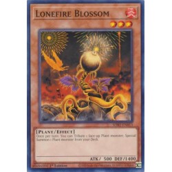 Beware of Traptrix - Lonefire Blossom