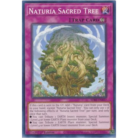 Beware of Traptrix - Naturia Sacred Tree