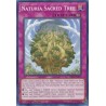 Beware of Traptrix - Naturia Sacred Tree