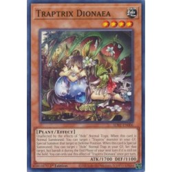 Beware of Traptrix - Traptrix Dionaea