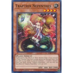 Beware of Traptrix - Traptrix Nepenthes