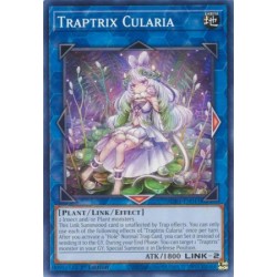 Beware of Traptrix - Traptrix Cularia