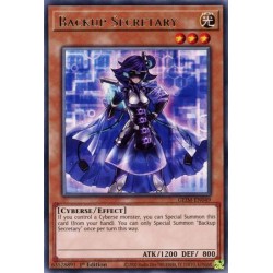 Genesis Impact - Backup Secretary