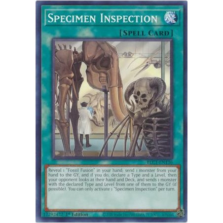 Battles of Legend: Chapter 1 - Specimen Inspection